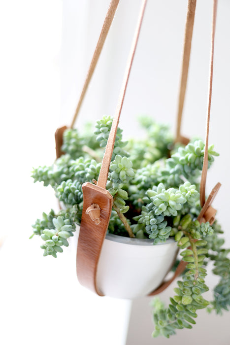 Small Flourish Plant Hanger by Jubilee Trading Company