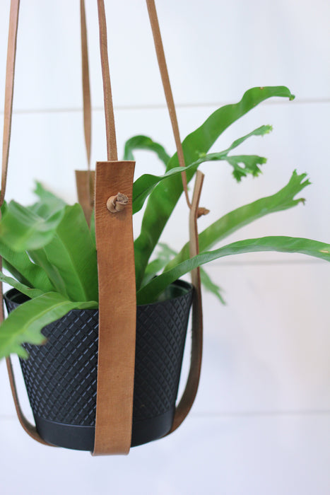 Large Flourish Leather Plant Hanger by Jubilee Trading Company