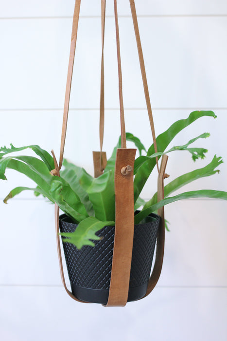 Large Flourish Leather Plant Hanger by Jubilee Trading Company