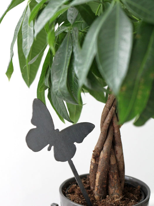 Butterfly Plant Stake by Jubilee Trading Company