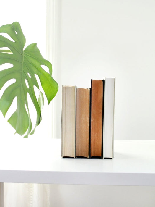 Double Arch Bookend by Jubilee Trading Company