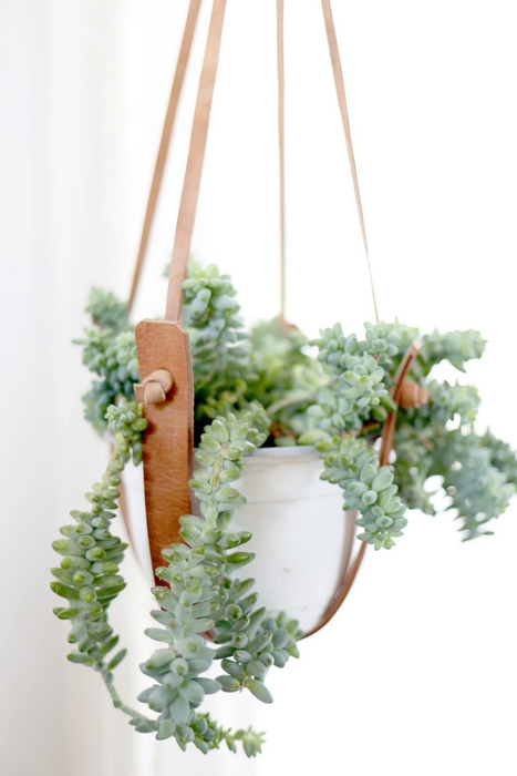 Small Flourish Plant Hanger by Jubilee Trading Company