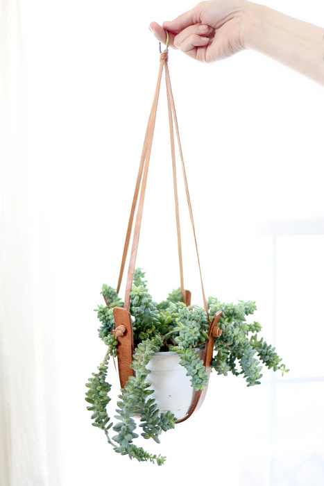 Small Flourish Plant Hanger by Jubilee Trading Company