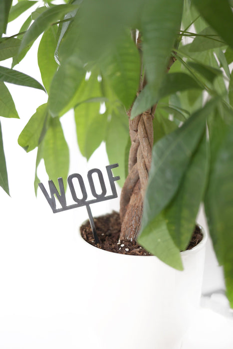 Woof Plant Stake by Jubilee Trading Company