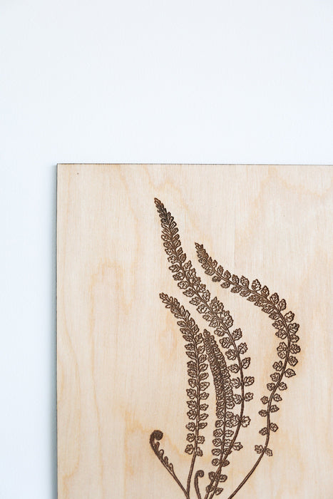 Wooden Fern Fronds Panel Wall Art by Jubilee Trading Company